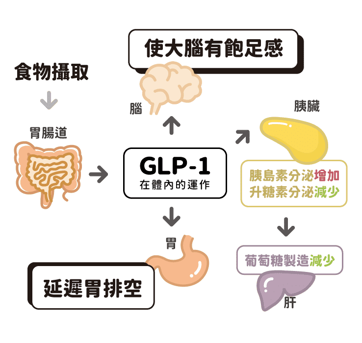 GLP-1善纖達台北善纖達saxenda瘦瘦筆減肥筆