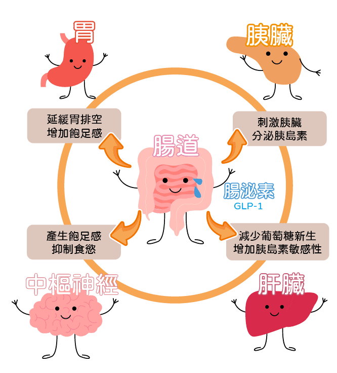 black box warning glp 1 Ozempic and Wegovy weight loss risks and side effects