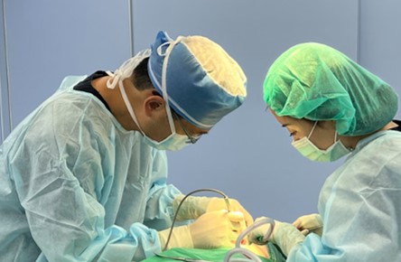 鼻基底手術使用異體真皮墊片植入凹陷處